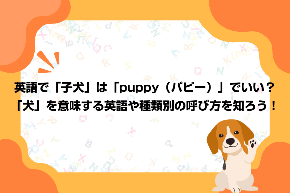 英語で「子犬」は「puppy（パピー）」でいい？「犬」を意味する英語や種類別の呼び方を知ろう！